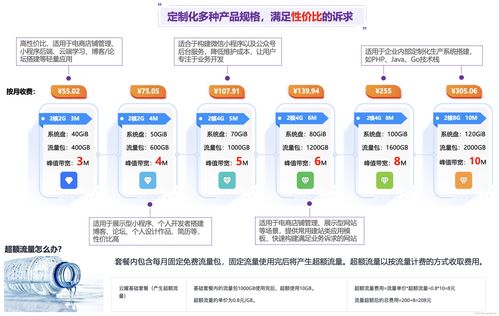 華為云云耀云服務器l實例評測 企業項目最佳實踐之華為云耀云服務器l實例介紹 三 企業會員積分管理服務
